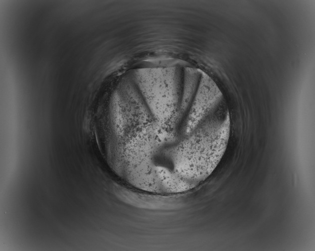 X0000087000044200705071515