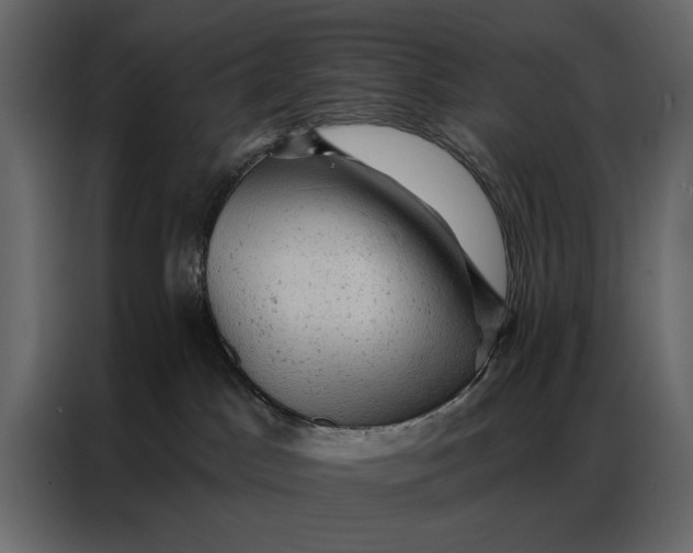 X0000087000045200705071515