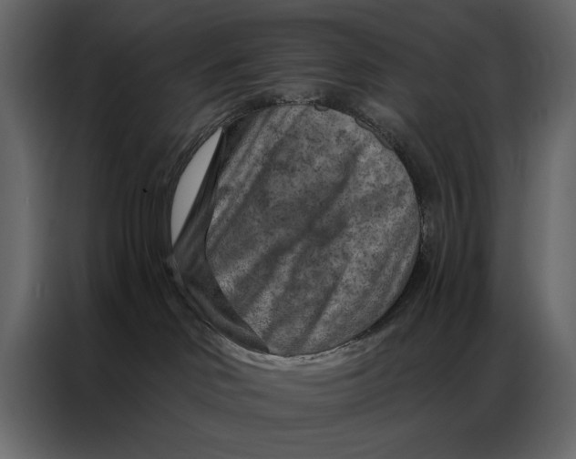 X0000087000046200705071514