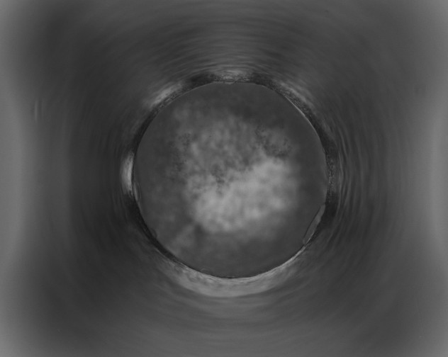 X0000087000047200705071514