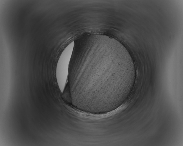 X0000087000048200705071514