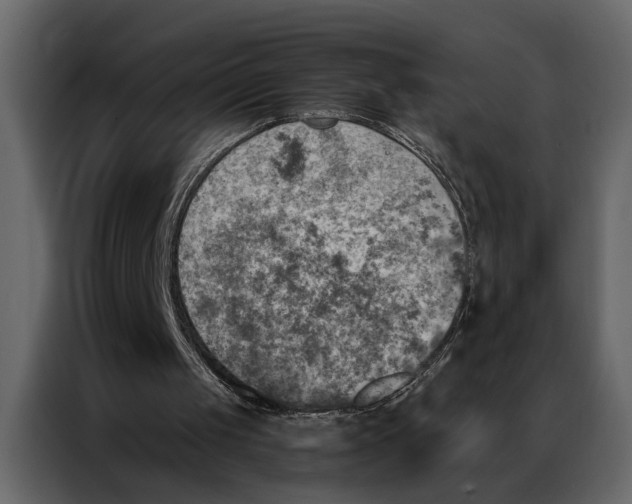 X0000087000049200705071514