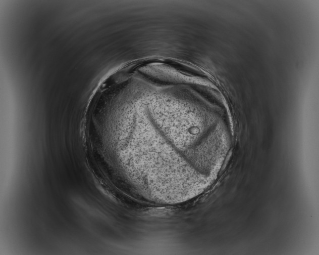 X0000087000050200705071514