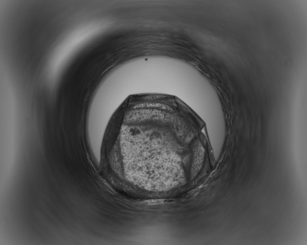 X0000087000052200705071514