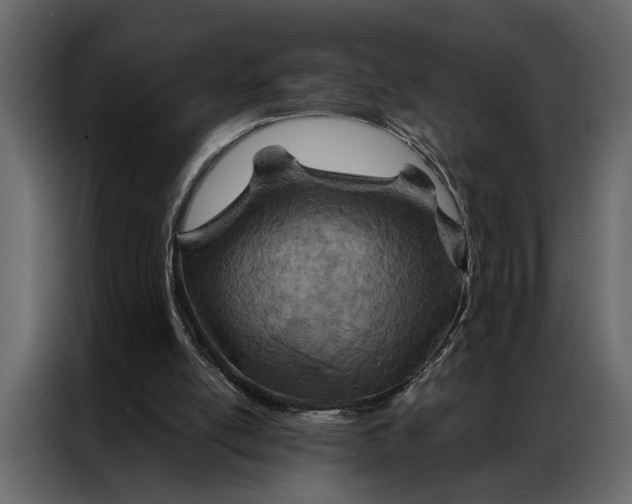 X0000087000054200705071514