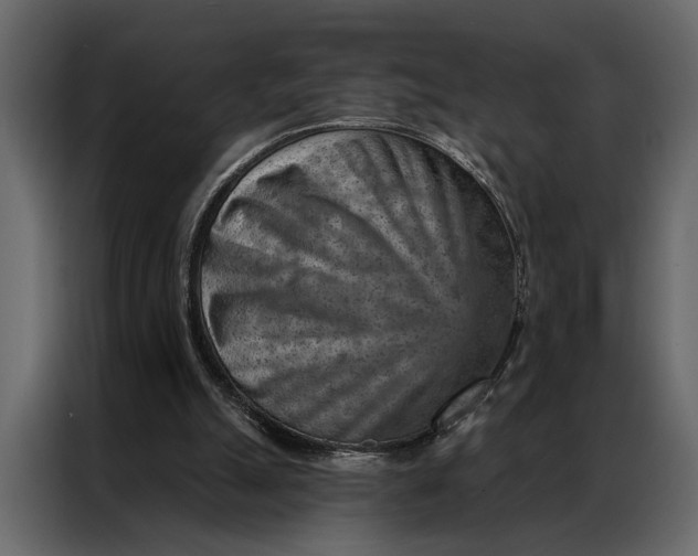 X0000087000055200705071514