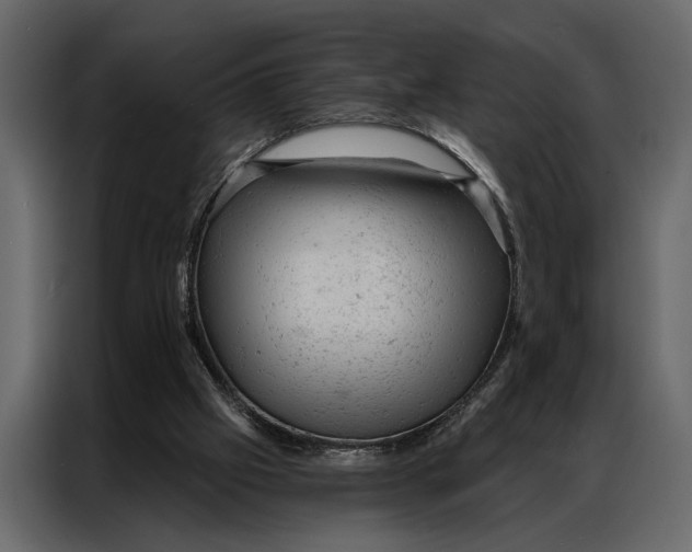 X0000087000057200705071514