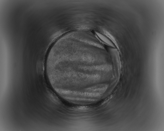 X0000087000059200705071514