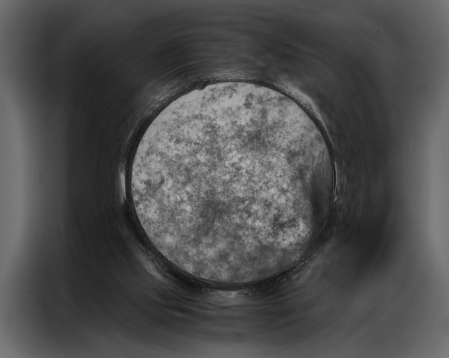 X0000087000061200705071514