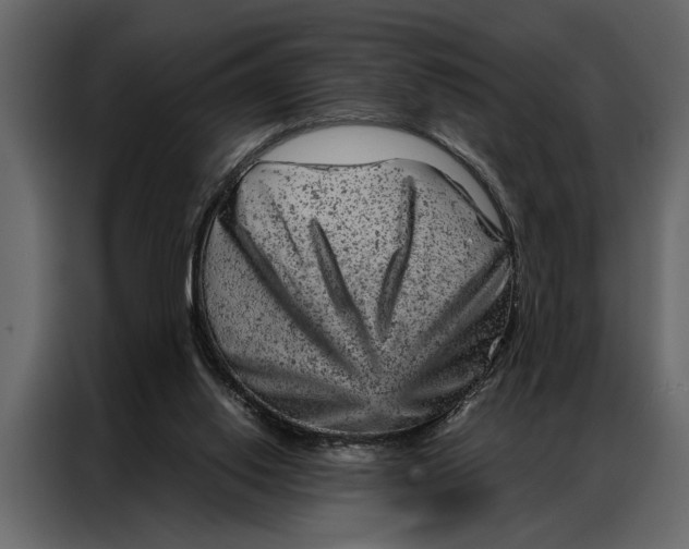 X0000087000062200705071514