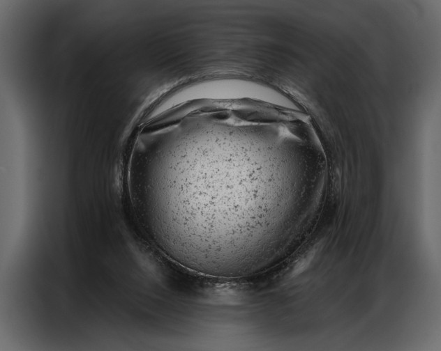 X0000087000064200705071514