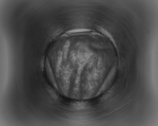 X0000087000065200705071514