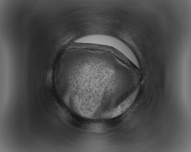 X0000087000066200705071514