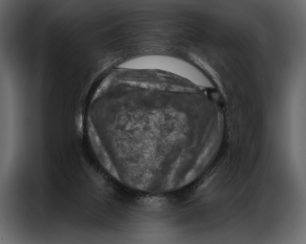 X0000087000067200705071514