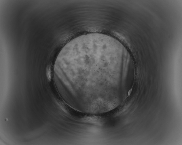 X0000087000069200705071514