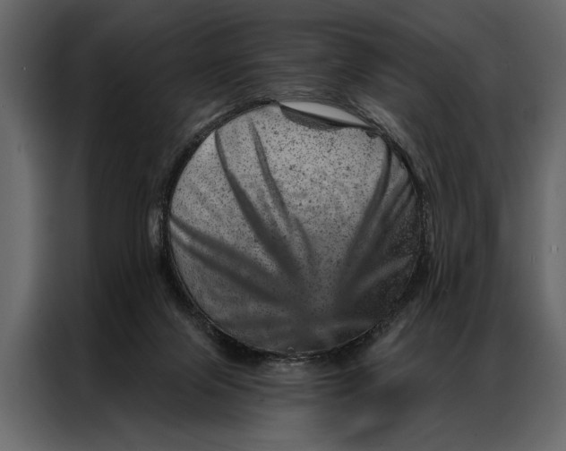 X0000087000071200705071514