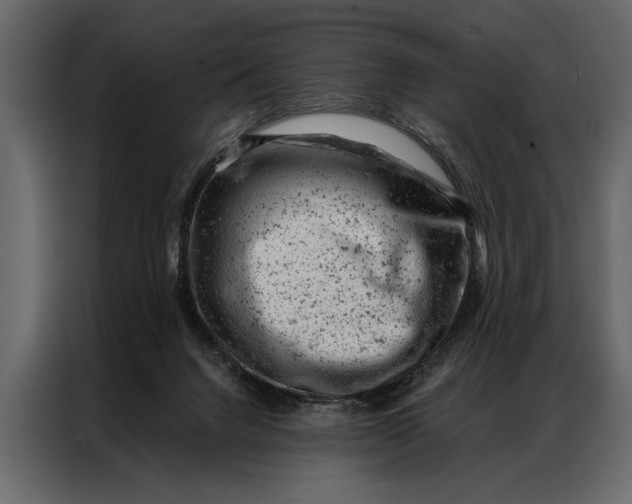 X0000087000072200705071514