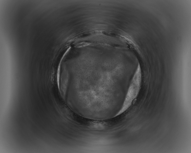 X0000087000073200705071514