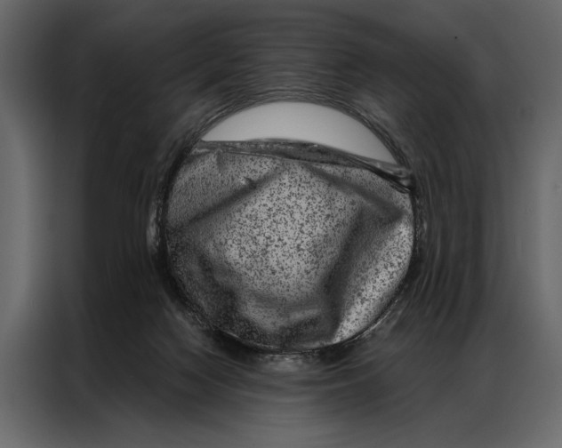 X0000087000074200705071514