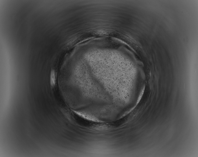 X0000087000075200705071514