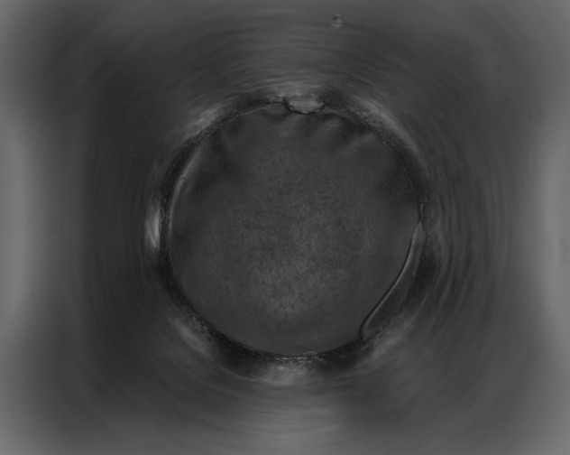 X0000087000076200705071514