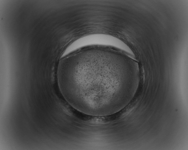 X0000087000080200705071514