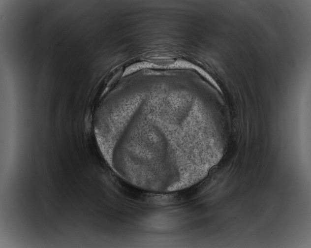 X0000087000081200705071514