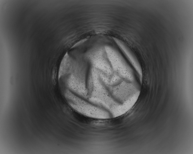 X0000087000082200705071514