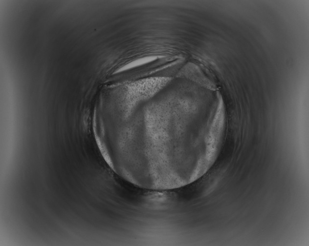 X0000087000083200705071514