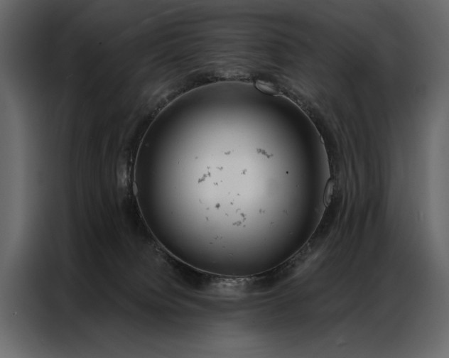 X0000087000084200705071514