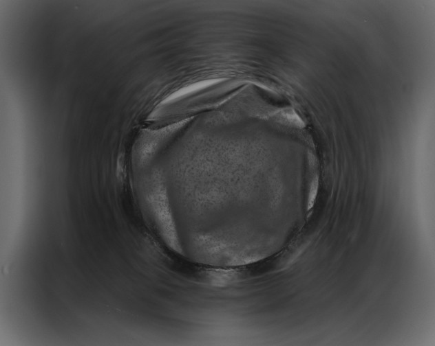 X0000087000085200705071514