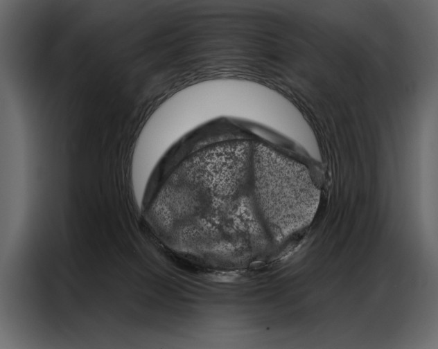 X0000087000086200705071514