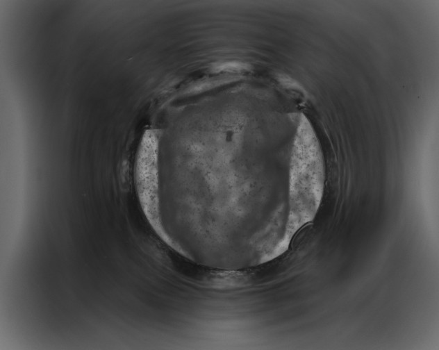 X0000087000087200705071514