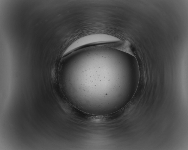 X0000087000088200705071514