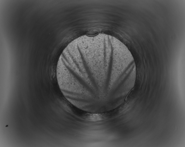 X0000087000091200705071514