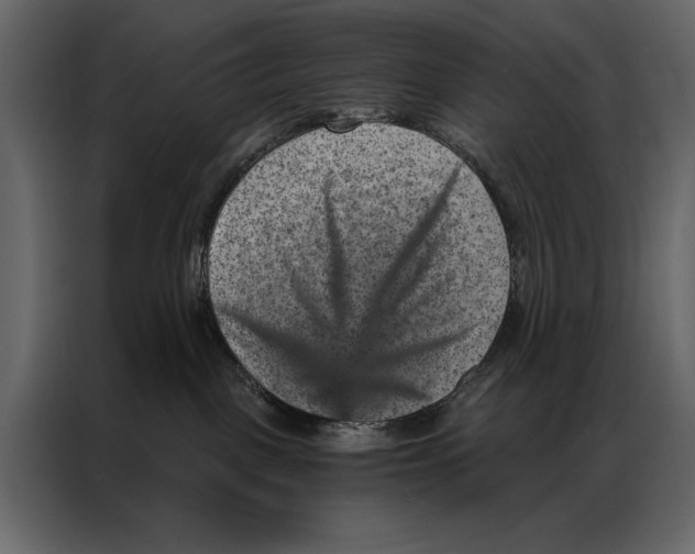 X0000087000093200705071514