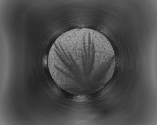 X0000087000095200705071514