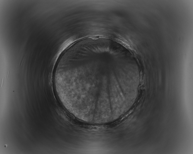 X0000087000099200705071514