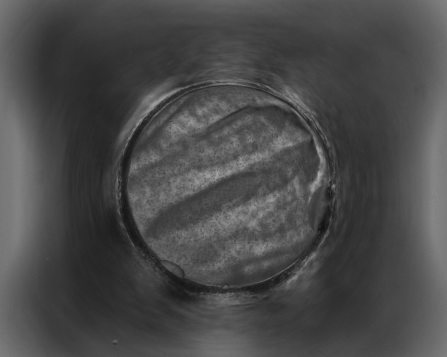 X0000087000103200705071514