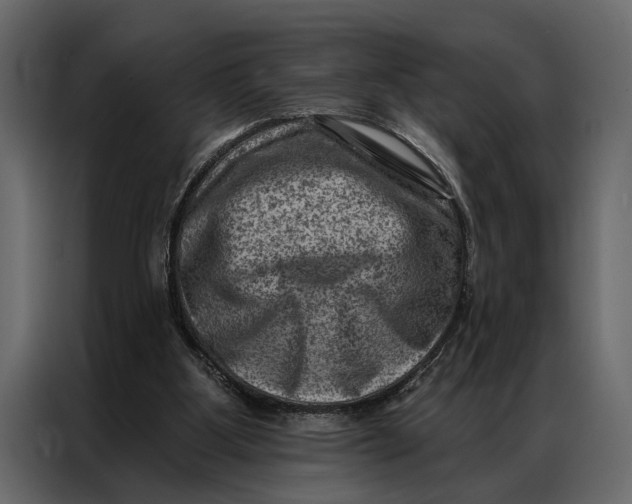 X0000087000107200705071514