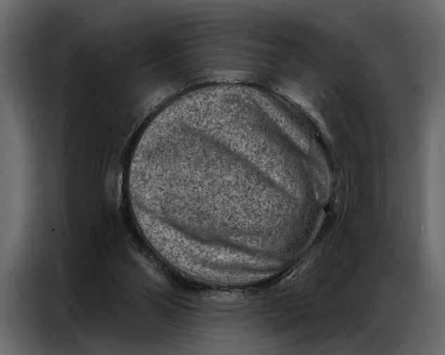 X0000087000110200705071514