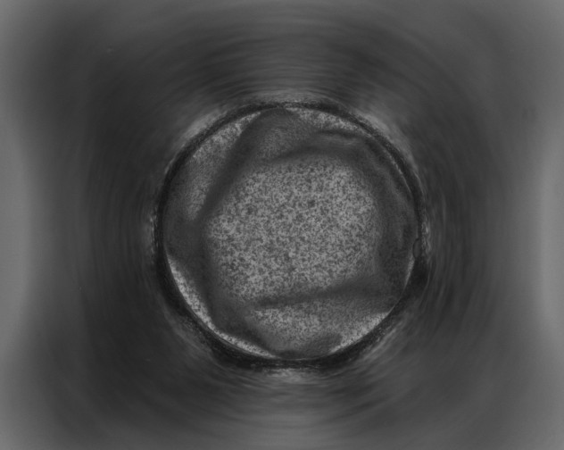 X0000087000111200705071514