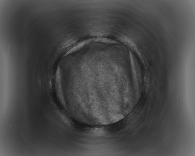 X0000087000114200705071514