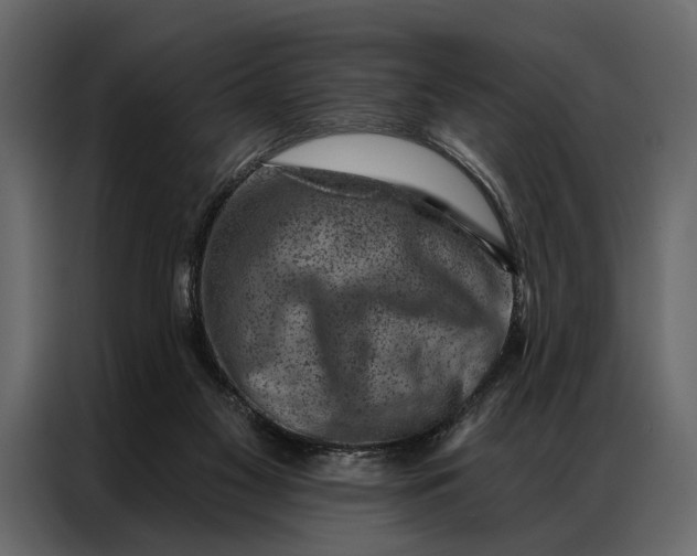 X0000087000117200705071514