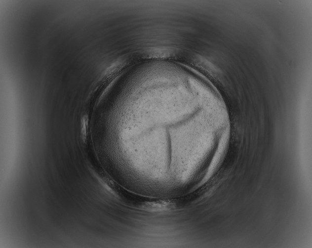 X0000087000118200705071514