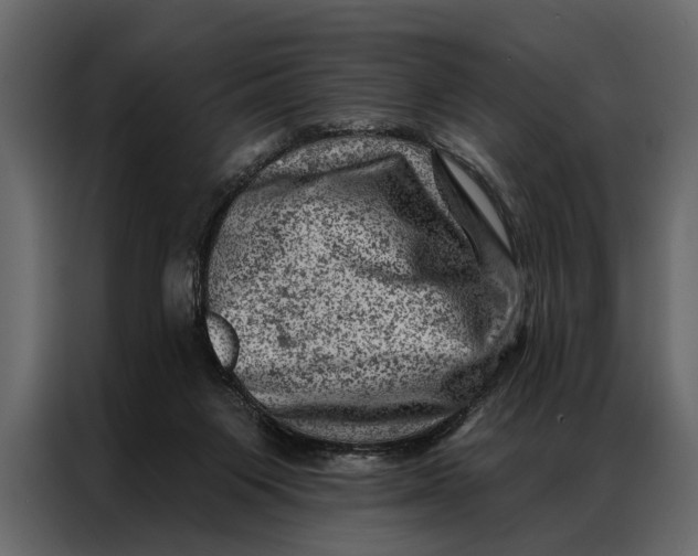 X0000087000119200705071514