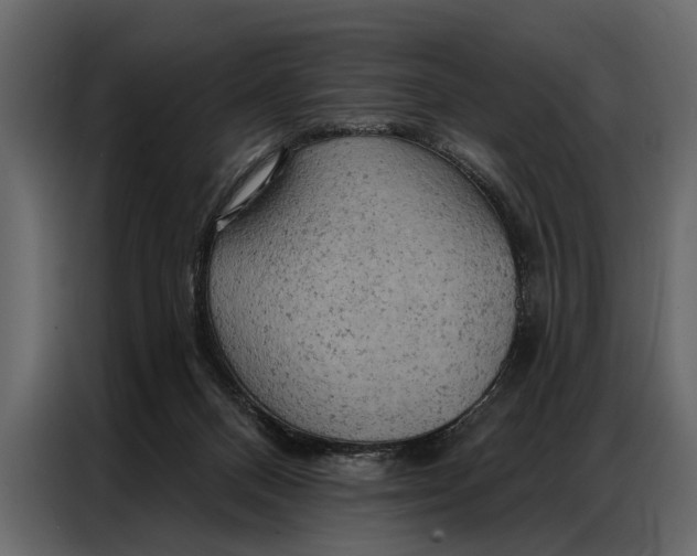 X0000087000120200705071514