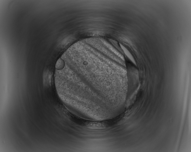 X0000087000123200705071513