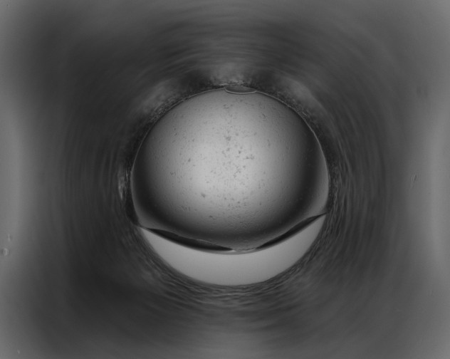 X0000087000125200705071513