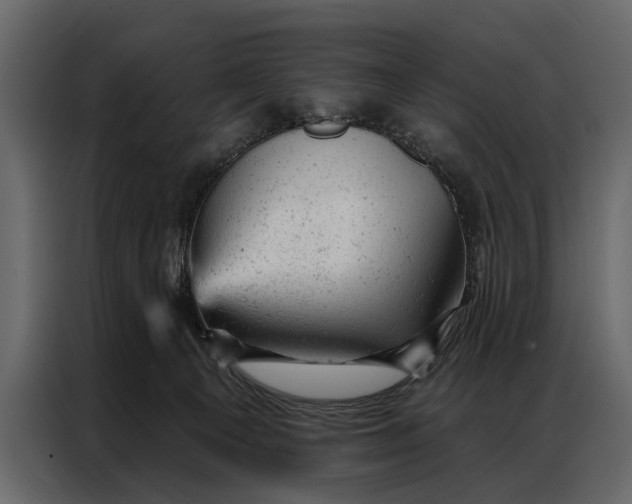 X0000087000129200705071513